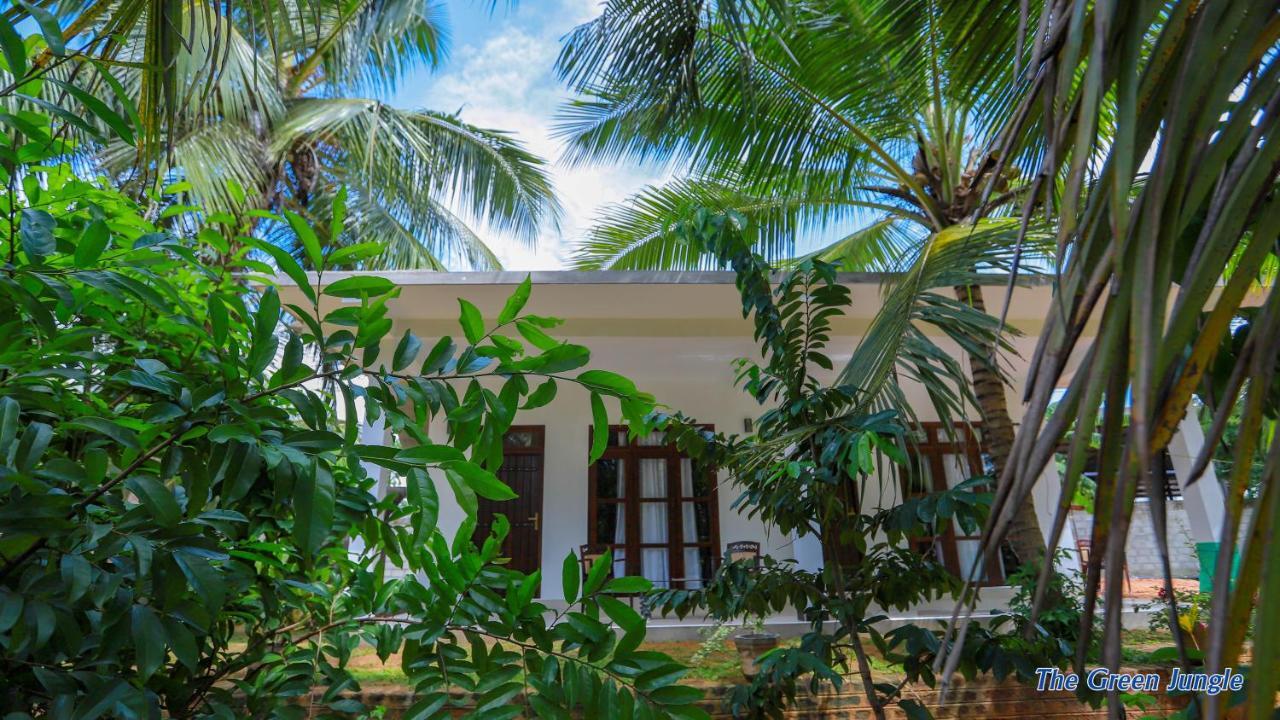 The Green Jungle دامبولا المظهر الخارجي الصورة