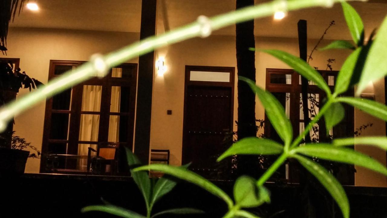 The Green Jungle دامبولا المظهر الخارجي الصورة